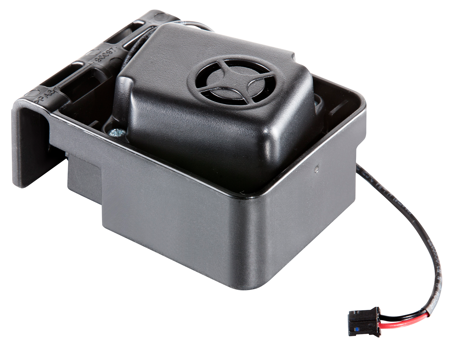 SOMMER-BUZZER - Sidonie